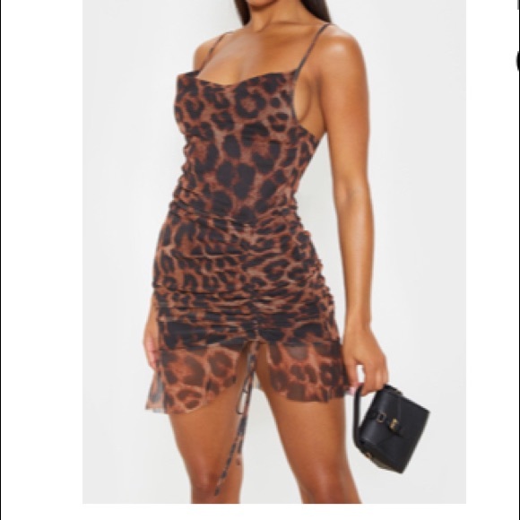 Cheetah dress. - Picture 1 of 1